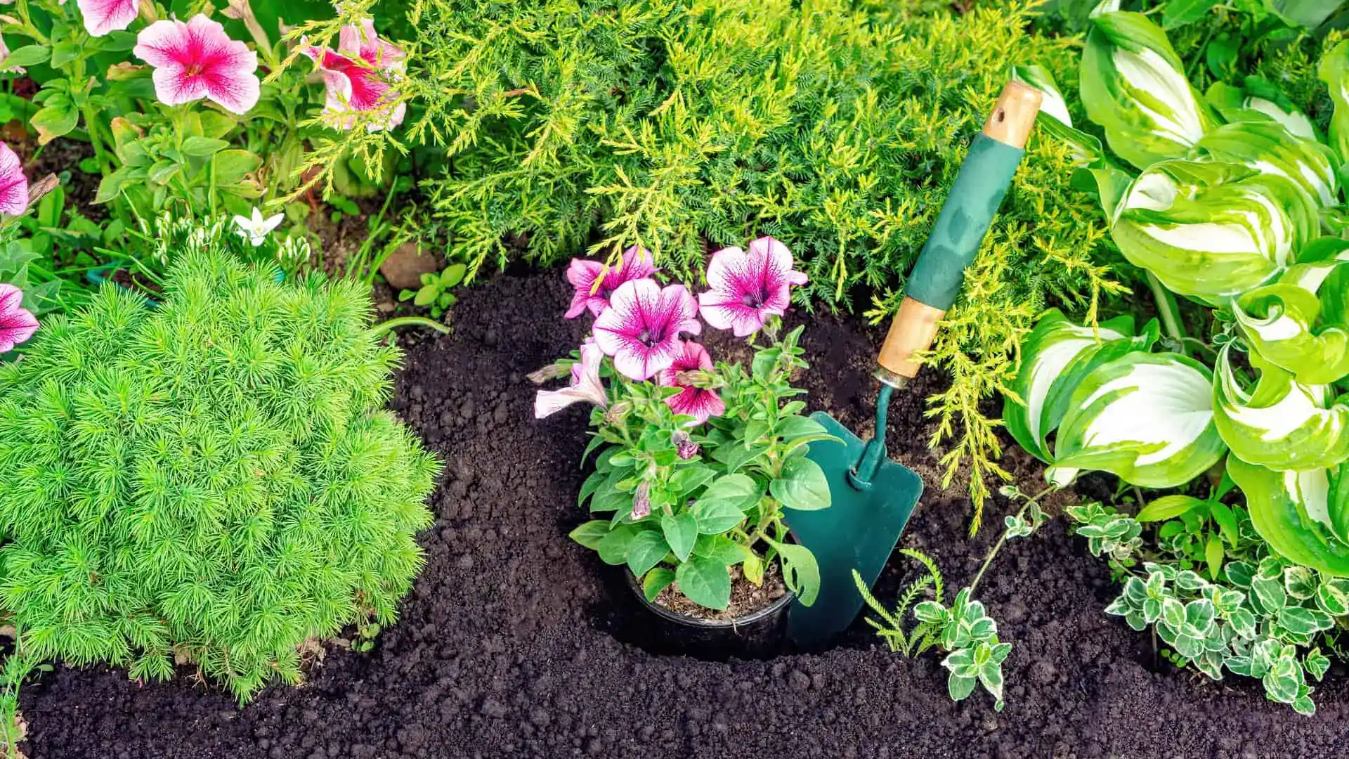 Landscaping Insurance Ohio
