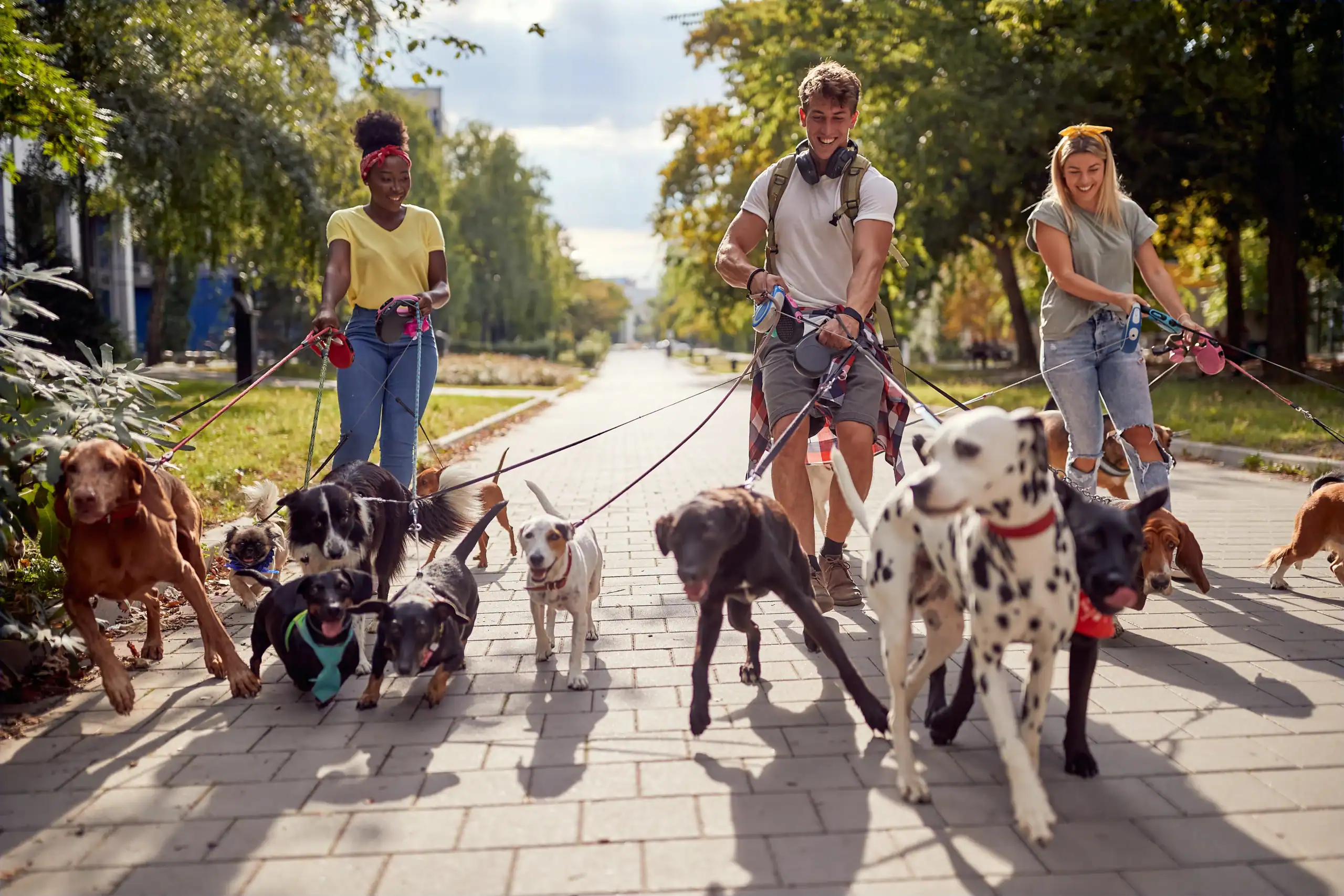 Dog Walker Insurance Ohio